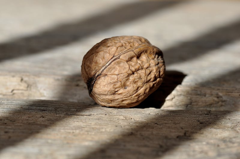 Walnuts